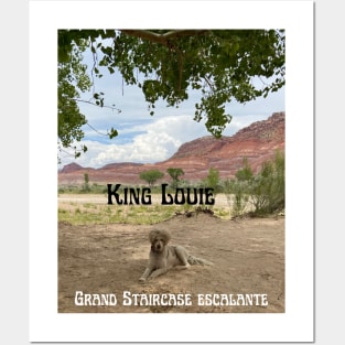 King Louie at the Grand Staircase Escalante National Monument Posters and Art